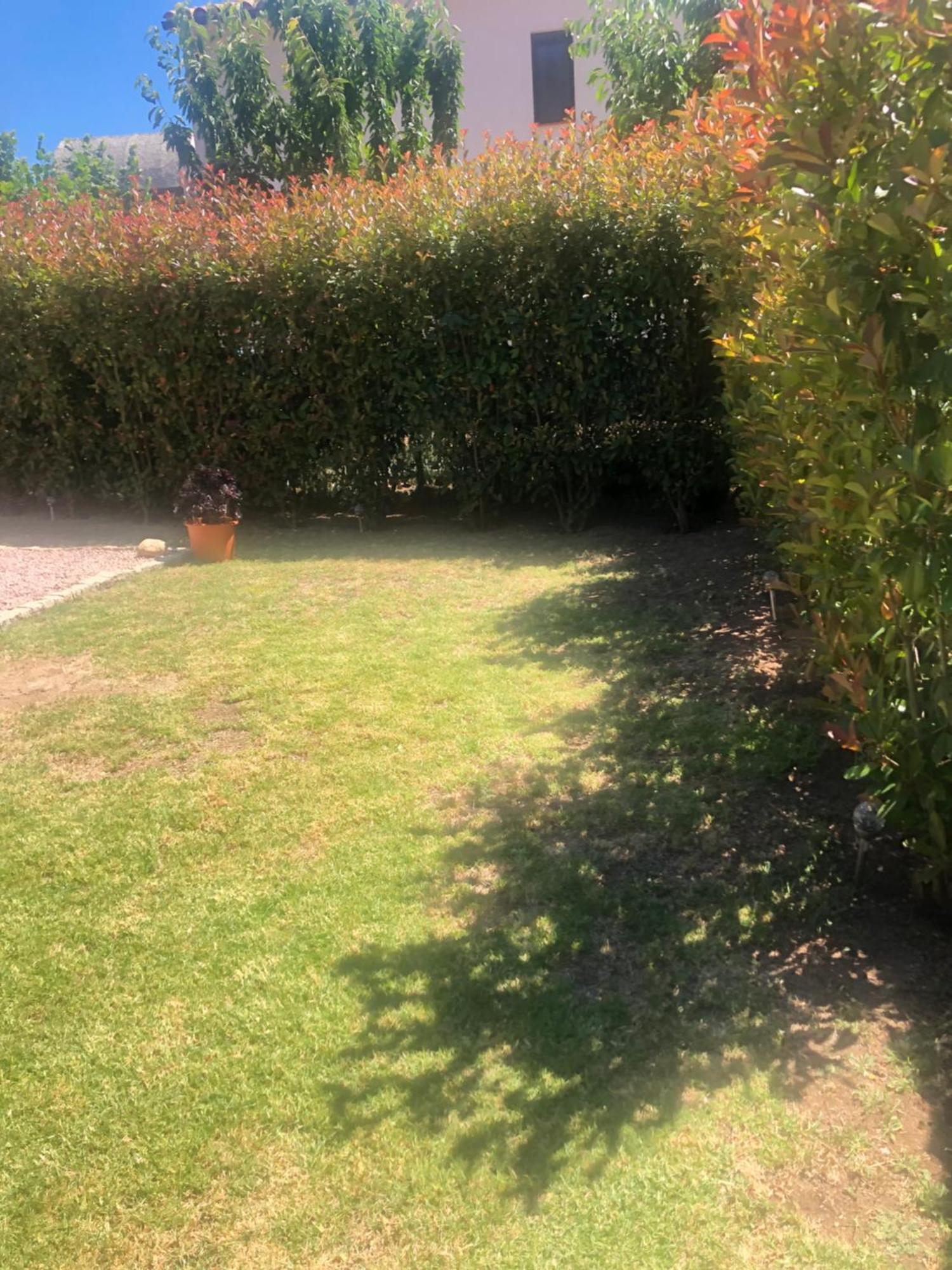 Mini-villa mitoyenne de type F2 proche Golfe de Lava Appietto Esterno foto